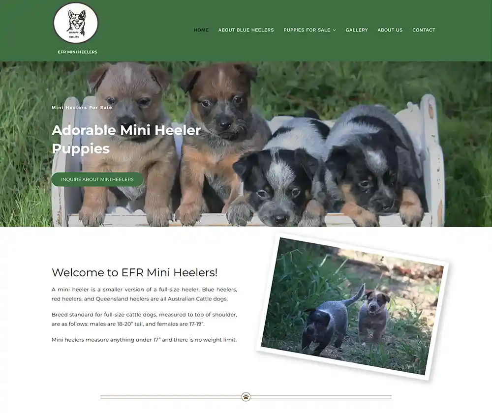 EFR Mini Heelers homepage web design