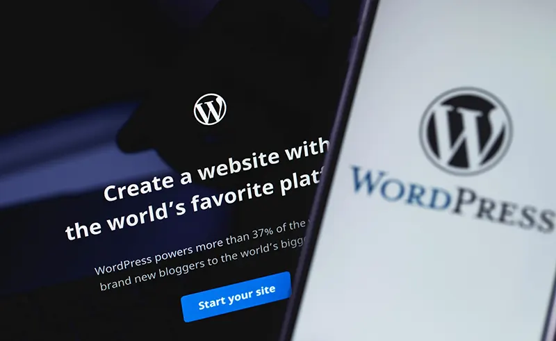 WordPress site homepage